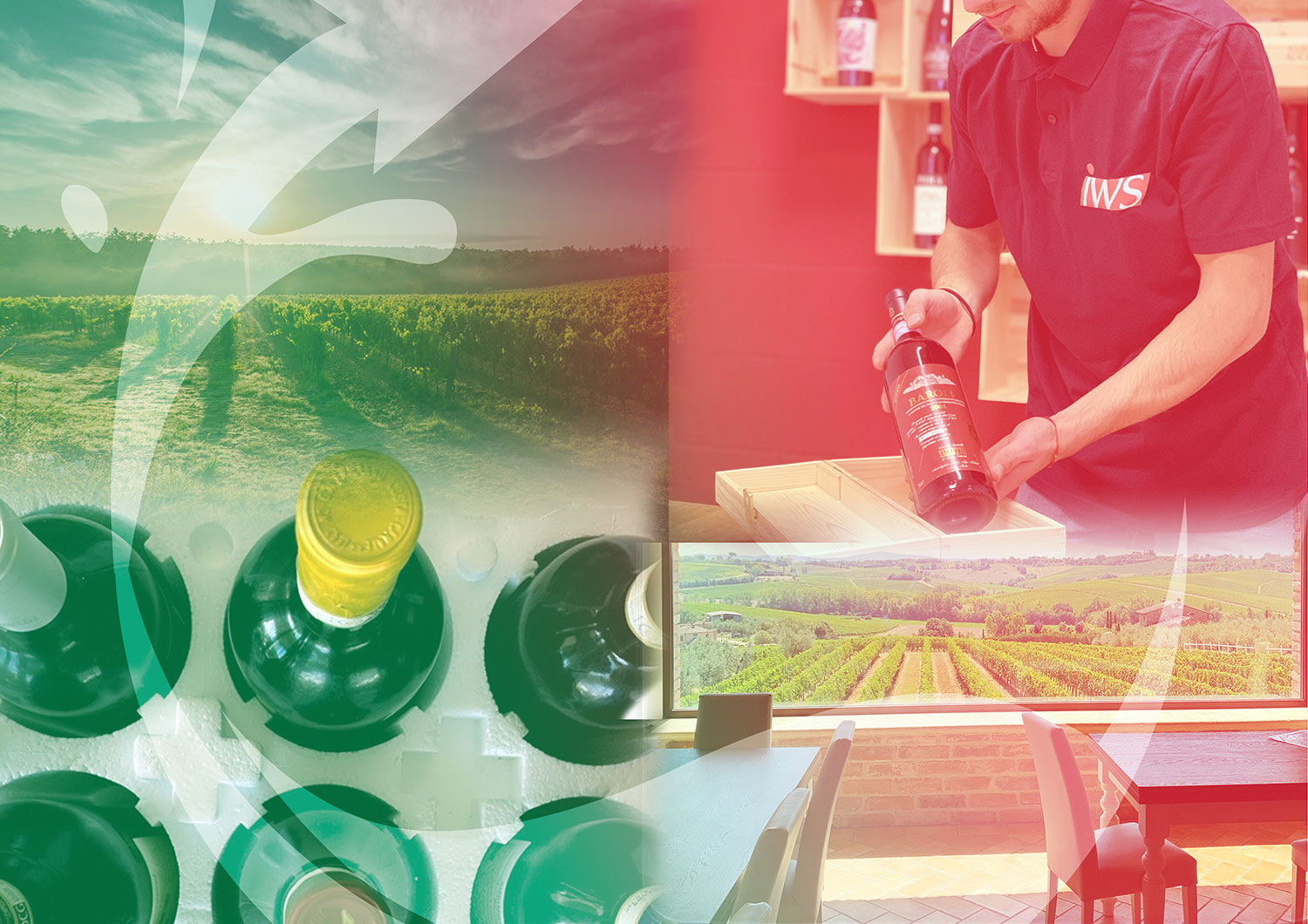 IWS aiuta gli operatori del settore del vino nel loro Business quotidiano
